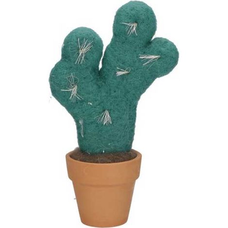 CACTUS IMBOTTITO F NONPUNGO