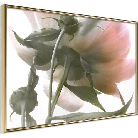 Affiche Murale Encadrée "Under the Flower" 60 x 40 cm Or