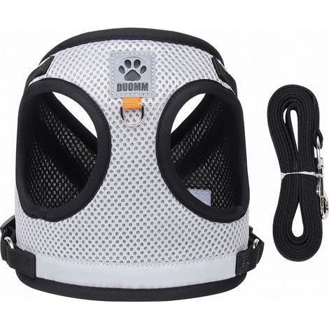 Ensemble harnais et laisse pour chat : harnais pour chat anti-éclatement, laisse rétractable automatique avec harnais pour chat chiot, harnais réglable avec bandes réfléchissantes, laisse pour chat de (1/5)