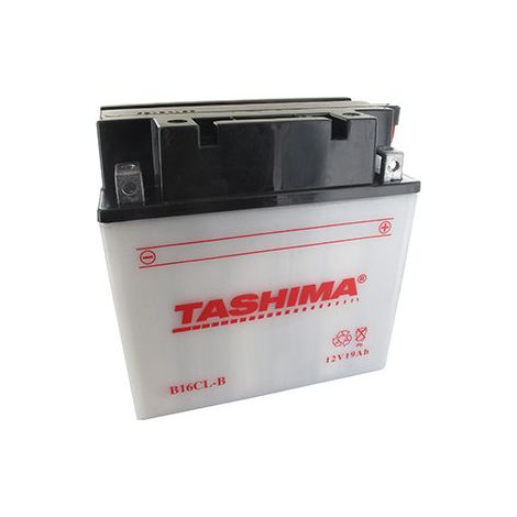 Batteria al Piombo Tashima Rinforzata 12V, 19A L: 175, L: 100, H: 175mm, + a Destra Per Quad, Utility. (con Acido Separato)
