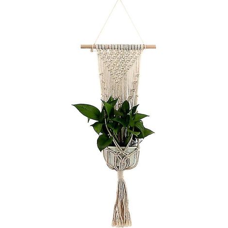 1 pot de coton pour plantes succulentes