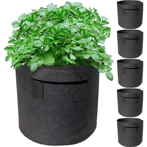 Bolsas de cultivo - Juego de 6 - Tela no tejida - 11 litros - Reutilizables, aptas para el cultivo de plantas - 25 x 22 cm - Negras (1/5)