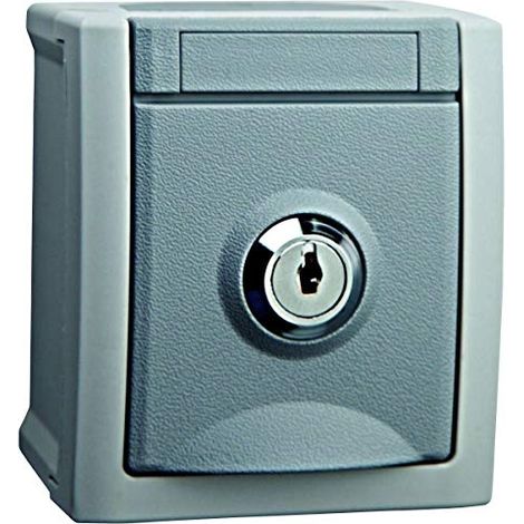 PRISE DE COURANT SCHUKO VERROUILLABLE GRIS (FERMETURE NR 10) POUR HEITRONIC 90591050-DE