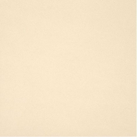 GRES PORCELLANATO UNICOLORE BIANCO A11/12 MM 20X20 11/1 0,88 MQ - CASALGRANDE