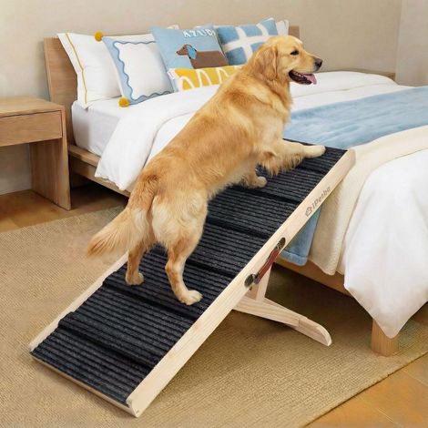 Hunderampe verstellbar für Bett & Sofa, Gelenkschonend, Anti-Rutsch, bis 32 kg (1/5)