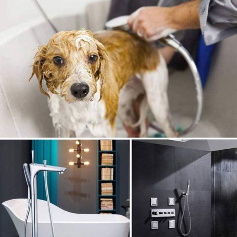 Flexible de Douche Isiflex, Anti-Pli et Torsion, Longueur 1,60m, Pratique pour Salle de Bain (1/5)