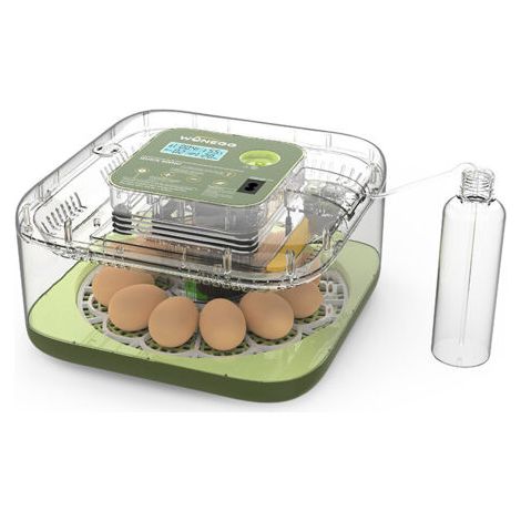 Brutkasten für 12 Eier, vollautomatisch, digital, mit Temperaturregelung und automatischer Wende, für Hühner, Enten, Gänse, Wachteln