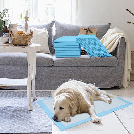 Randaco 80X Welpenunterlage Unterlagen Trainingsunterlagen 60x60cm Haustiere Puppy
