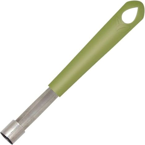 Fackelmann 687064 - Svuotamele con manico in plastica ecosurcata, per rimuovere i pepini, acciaio inossidabile, plastica biologica, 20,5 x 2,5 cm (1/4)