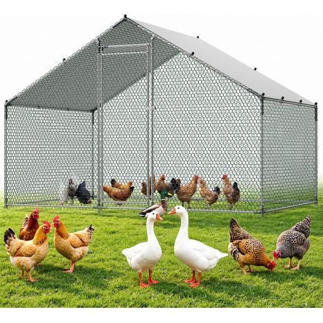 Pollaio Metallico 3 x 2 x 2 m da Esterno, Recinto Gabbia Grandi (1/5)