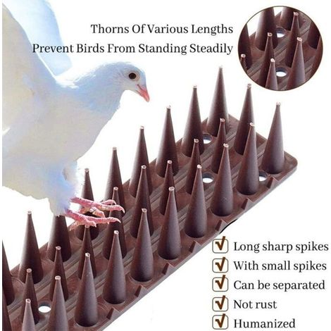 Cellfast – Pic anti pigeon balcon 12 pièces – Piques en plastique 4.3 m – Protection contre les oiseaux – Pour appuis de fenêtre et balustrades
