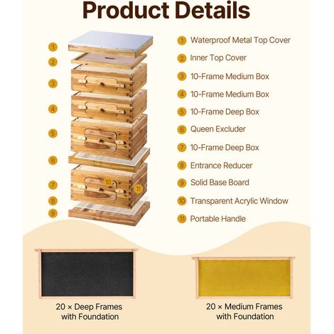 Ruche apicole 40 cadres kit démarrage, bois de sapin ciré miel, 2 corps profonds + 2 hausses moyennes Langstroth, fenêtres acrylique transparentes avec cires pour novices apiculteurs (1/5)