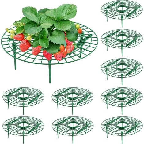 Lot de 10 supports à fraises ronds, pour garder vos fraisiers propres. (1/5)
