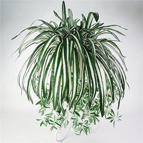 Plante Artificielle Chlorophytum - Fausse Plante Araignée en Soie - Décor Murale pour Intérieur Maison Hôtel Bureau - 4 Pièces (1/5)