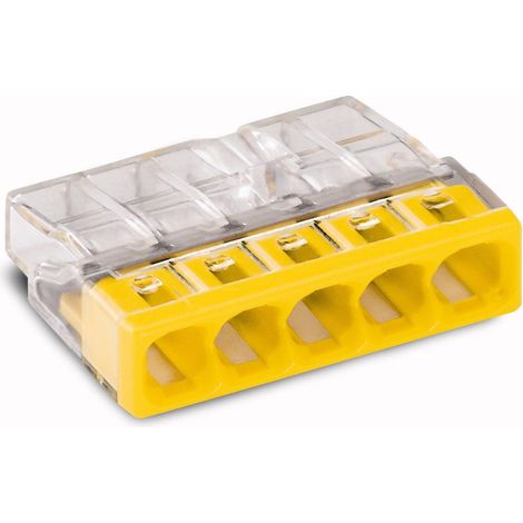Wago Connecteur Compact transparent 5 fils PUSH WIRE (1/2)