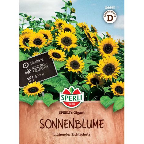 Sperli – Tournesol « Gigant » – Graines de fleurs, hauteur env. 300-400 cm (1/2)