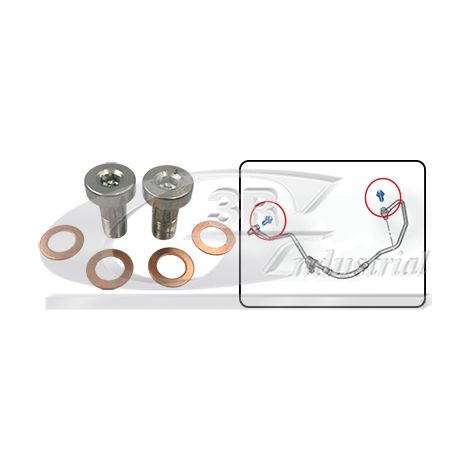 3RG 19000 KIT TORNILLOS BANJO TURBO (6PCS)