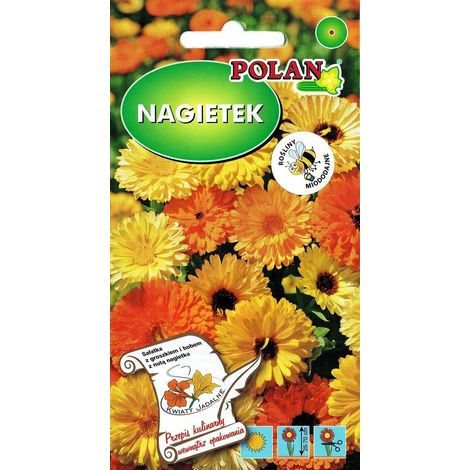 Semi di calendula officinalis 3 g