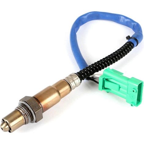 Capteur d'oxygène pour Moderas Pulsar NS 200/RS 200/Dominar 400 (1/5)