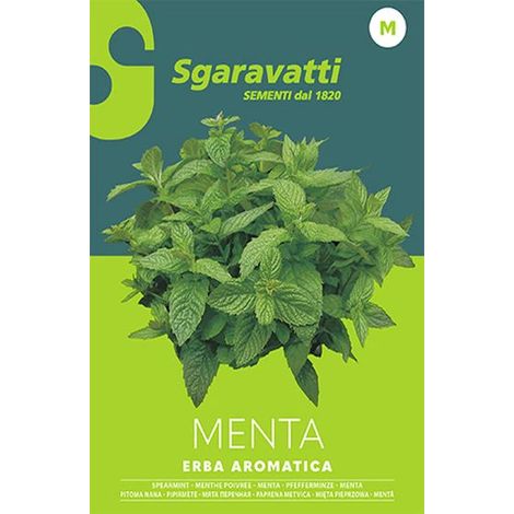Semi per Ortaggi e Vegetali Menta Spicata Sgaravatti 20 Pezzi (1/2)