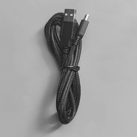 Câble de chargement USB de qualité pour consoles 3DS : prolongez vos sessions de jeu (1/4)