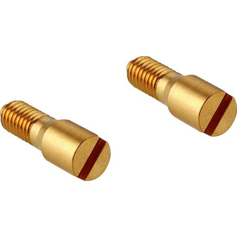 Tornillo cromado