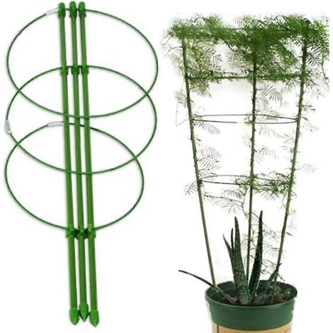 Tuteur de jardin robuste à 3 anneaux, 45 cm de haut, pour plantes et fleurs (2025). (1/5)