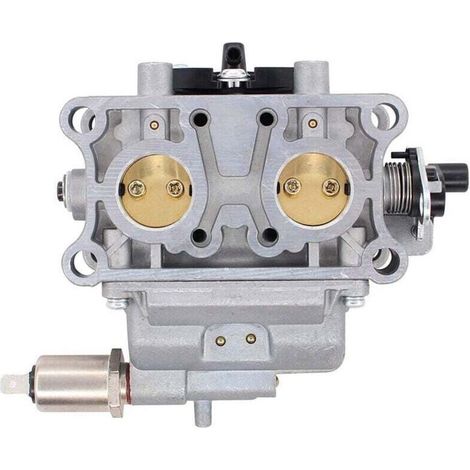 Carburateur débroussailleuse Alpina / Mac Allister - 118803709/0 (1/5)