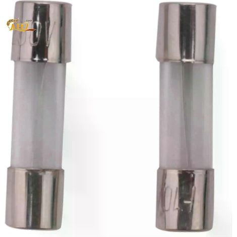 AEE7-10 Stück 250 V 10 A träge Glassicherungen 5 mm x 20 mm-JXLGV (1/5)