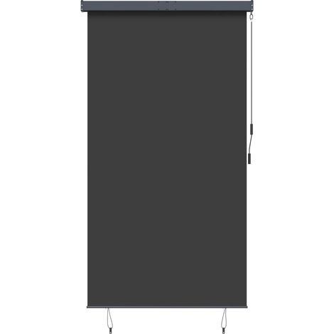 vidaXL Outdoor Roller Blind 140x250 cm Anthracite