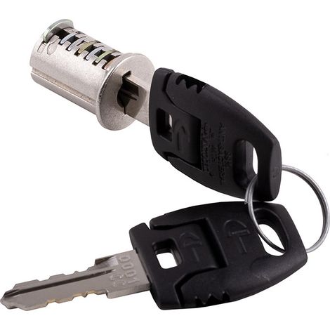 Cylindre Speed interchangeable - 2 clés ABAKOU
Idéal pour réaliser vos projets d'aménagement
