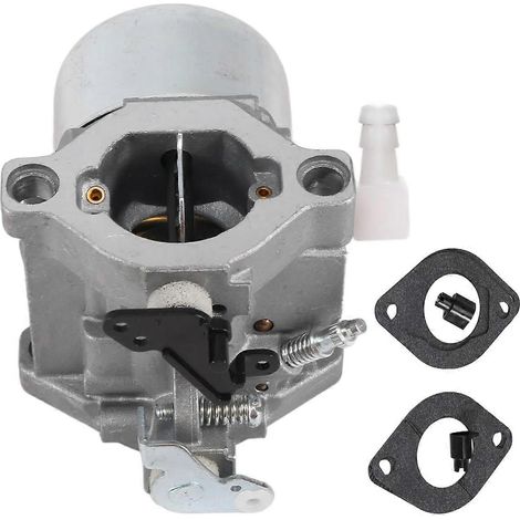 Carburateur professionnel pour moteur à arbre à cames en tête Briggs & Stratton 699831 694941 (tondeuse à gazon) (1/5)