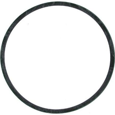 Joint cuve carburateur Delorto pour moteur Tecumseh Diamètre 49.2mm Épaisseur 1mm Pièces adaptables tondeuse et motobineuse (1/2)