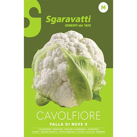 Semi per Ortaggi e Vegetali Cavolfiore Palla di Neve X Sgaravatti 20 Pezzi (1/2)