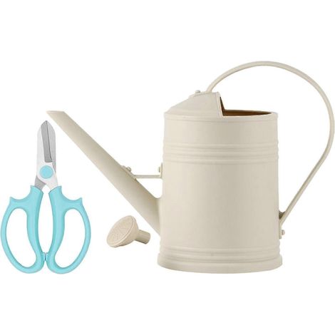 2-Liter-Gießkanne mit abnehmbarer Düse – robustes Gartengerät zum Bewässern von Pflanzen und Blumen.-beige (1/5)
