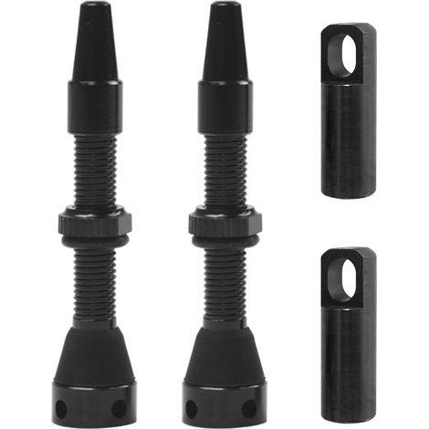 Tige de Valve Presta de vélo en alliage d'aluminium, 2 pièces, tiges sous vide pour vélos de montagne et de route (1/5)