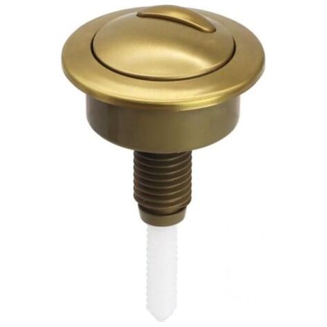 Bouton Poussoir Chasse d'Eau Doré Brossé Remplacement pour Réservoir WC Twyford Optima 49 (1/5)