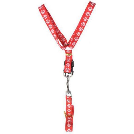 Guinzaglio Cani Con Pettorina       Cm 120 Koopman