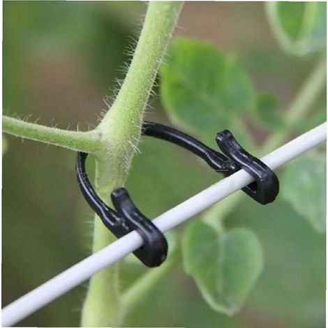 100pcs Jardin Plante Cible Boucle Fixe Lashing Crochet Pinces de greffe Outil agricole. (1/5)