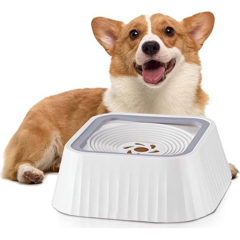 Wasserspender für Hunde – Auslaufsicherer Wassernapf – Trinknapf für Hunde – Tropffreier Hundenapf für große Hunde – Futter- und Trinknapf für Zuhause (1/5)