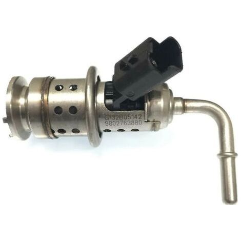 Injecteur Ad Blue pour Citroën Peugeot (1/3)