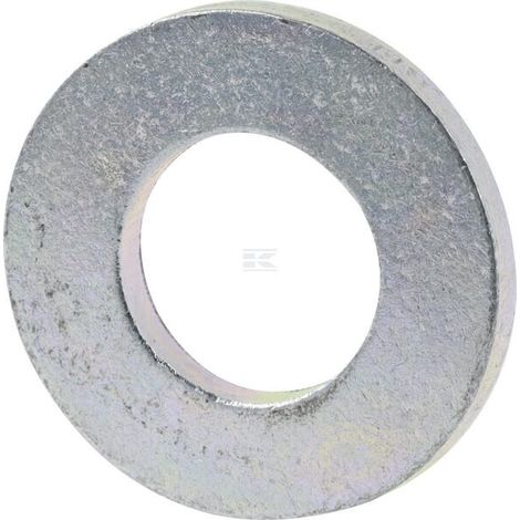 Unterlegscheibe 0,516idx1od BRIGGS & STRATTON 703853 (1/2)