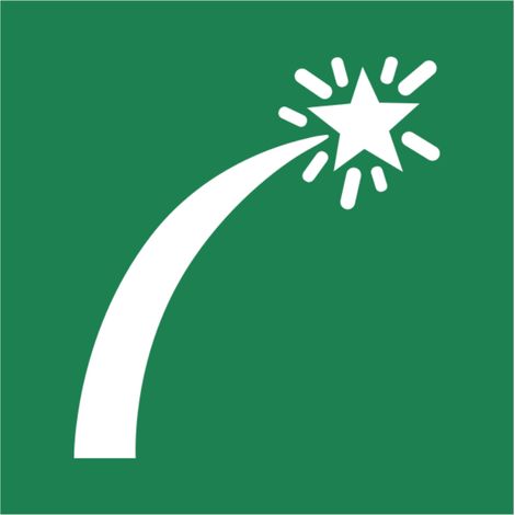 Pannello adesivo ISO 7010 "Razzi di segnalazione" - E048