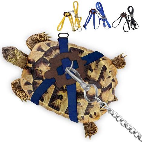 Leather Harness, Adjustable Leash, Steel Buckle, For Turtle/Lizard Walks (1/5)