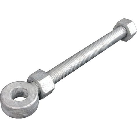 Precision Eyebolt di谩metro19x300 WAELBERS WAE81834305