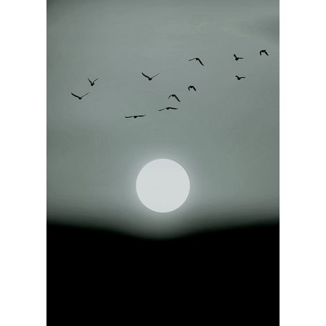 Papier peint panoramique noir et blanc Tapisserie panoramique lune et oiseaux Papiers peints panoramiques gris pour chambre (1/2)