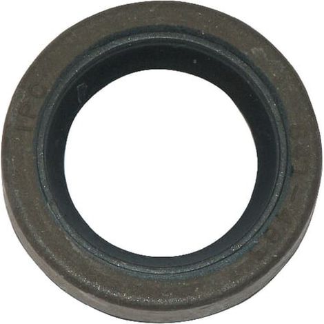 Joint à lèvre BRIGGS ET STRATTON 391483S