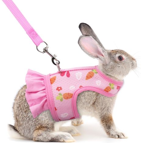 1 Harnais Réglable,Maille Respirante,Laisse 1,2m,Sécurité,Pour Lapins Nains Et Petits Animaux (1/5)