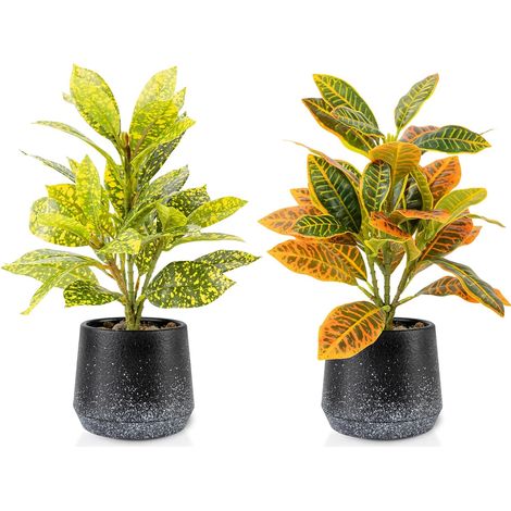 Codiaeum Variegatum – Lot de 2 plantes artificielles réalistes en pot pour bureau, salle de bain ou décoration d'intérieur (vert persistant, sans entretien) (1/5)