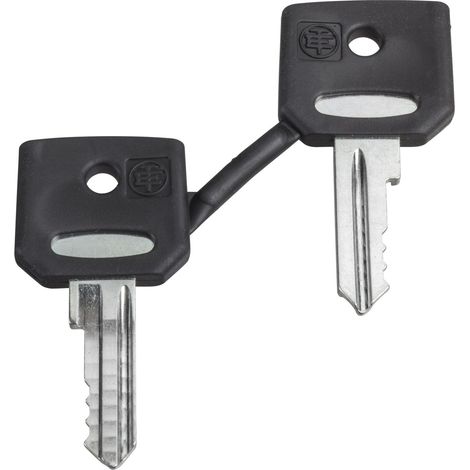Harmony ZB Nr. 520E 2-Tasten-Set für XB4- und XB5-Schalter, 2 Tasten enthalten